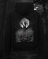 Anilara Ryuk Zipper Death Note Anime clothing